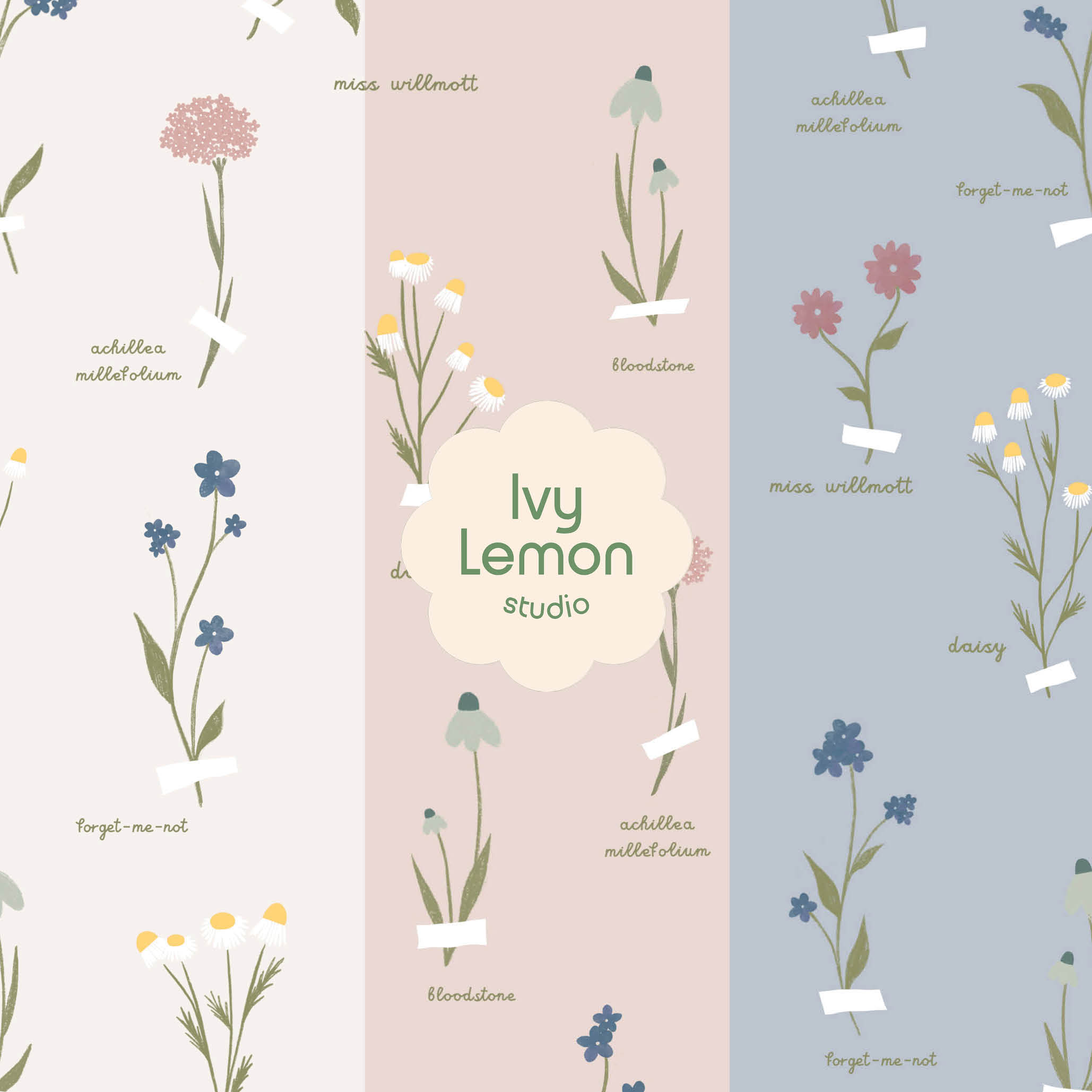 Alanis Floral Illustration secondary