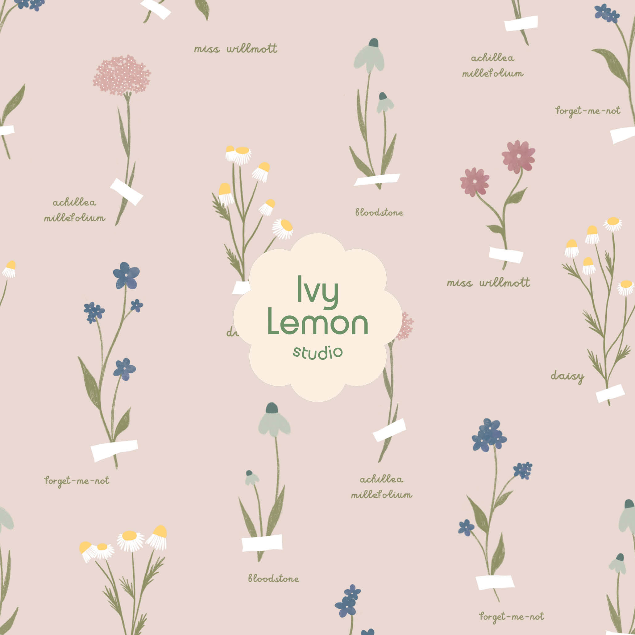 Alanis Floral Illustration